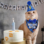 Cat party hat with adjustable chin strap and number markers