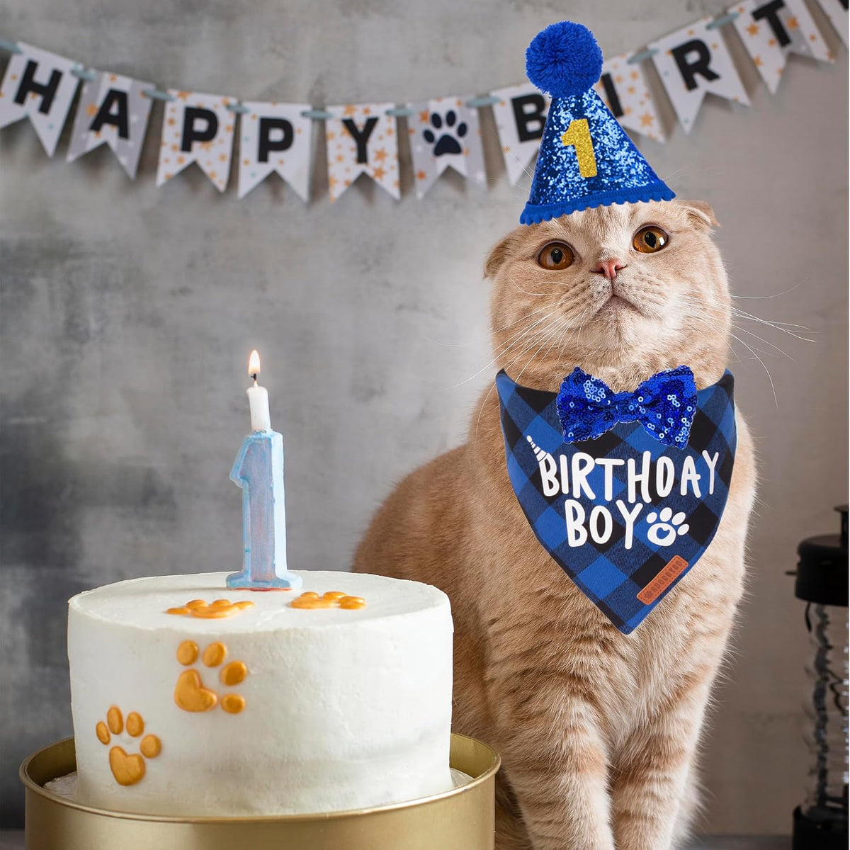 Cat party hat with adjustable chin strap and number markers