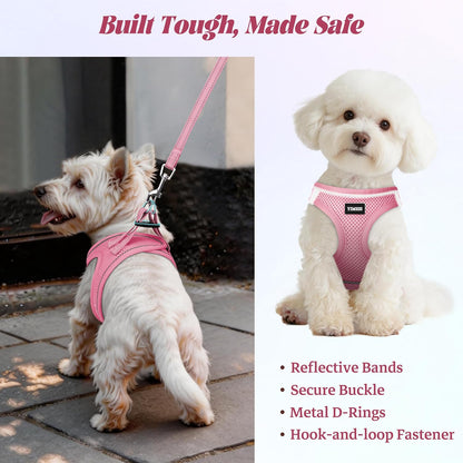 Reflective detail on yimeis pet harness at night