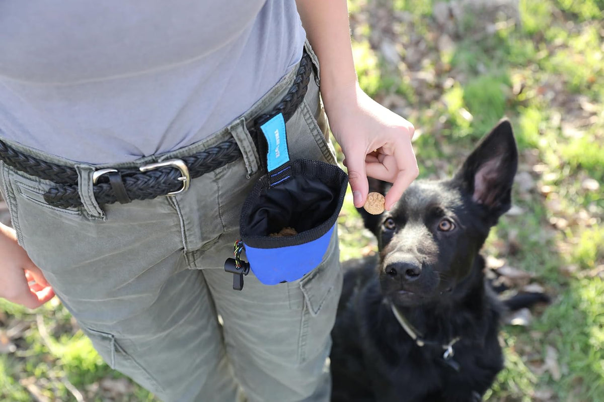 Chuckit! treat tote filled with dog treats