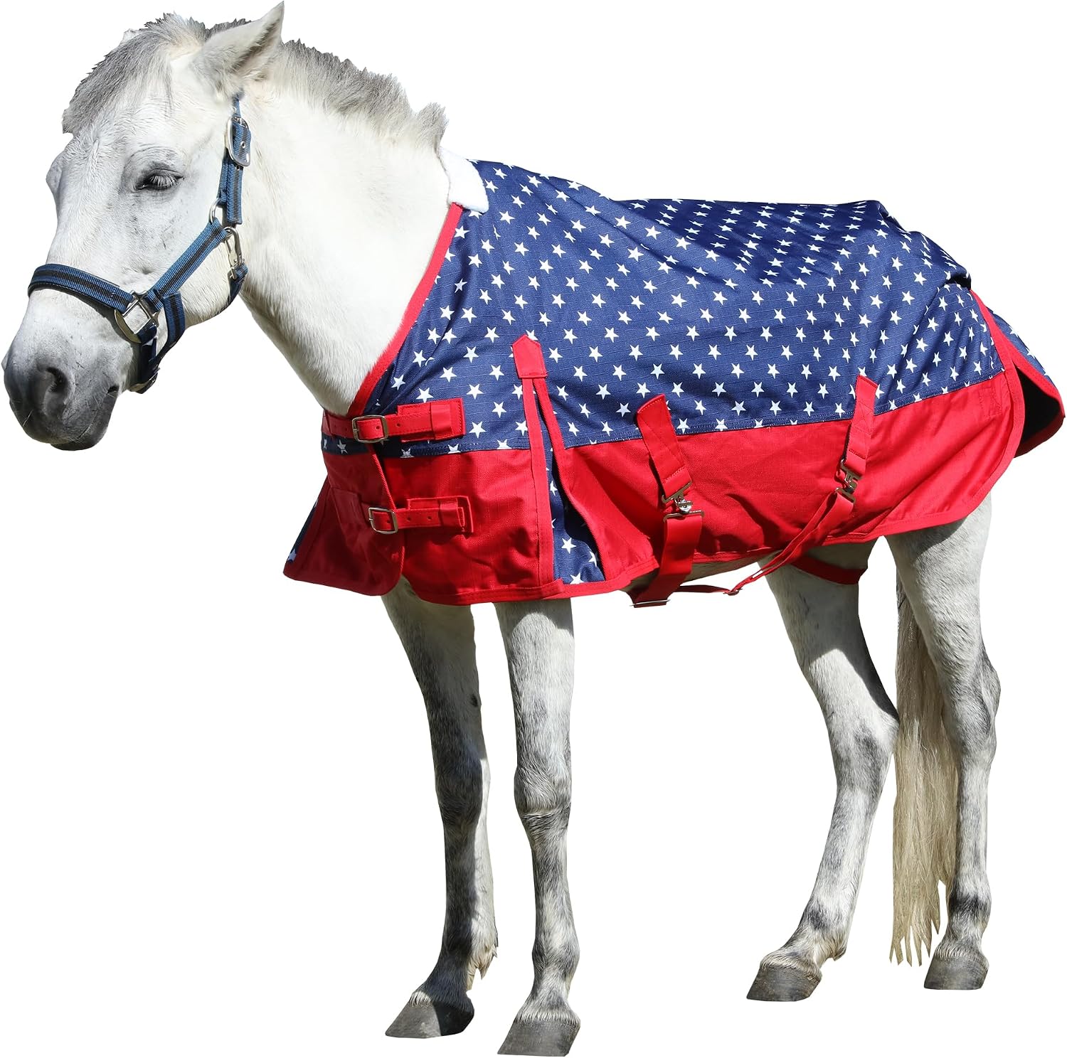 Packaging details of the authentic USA imported LEAFOREST equine supplies collection available for Indian horse owners.