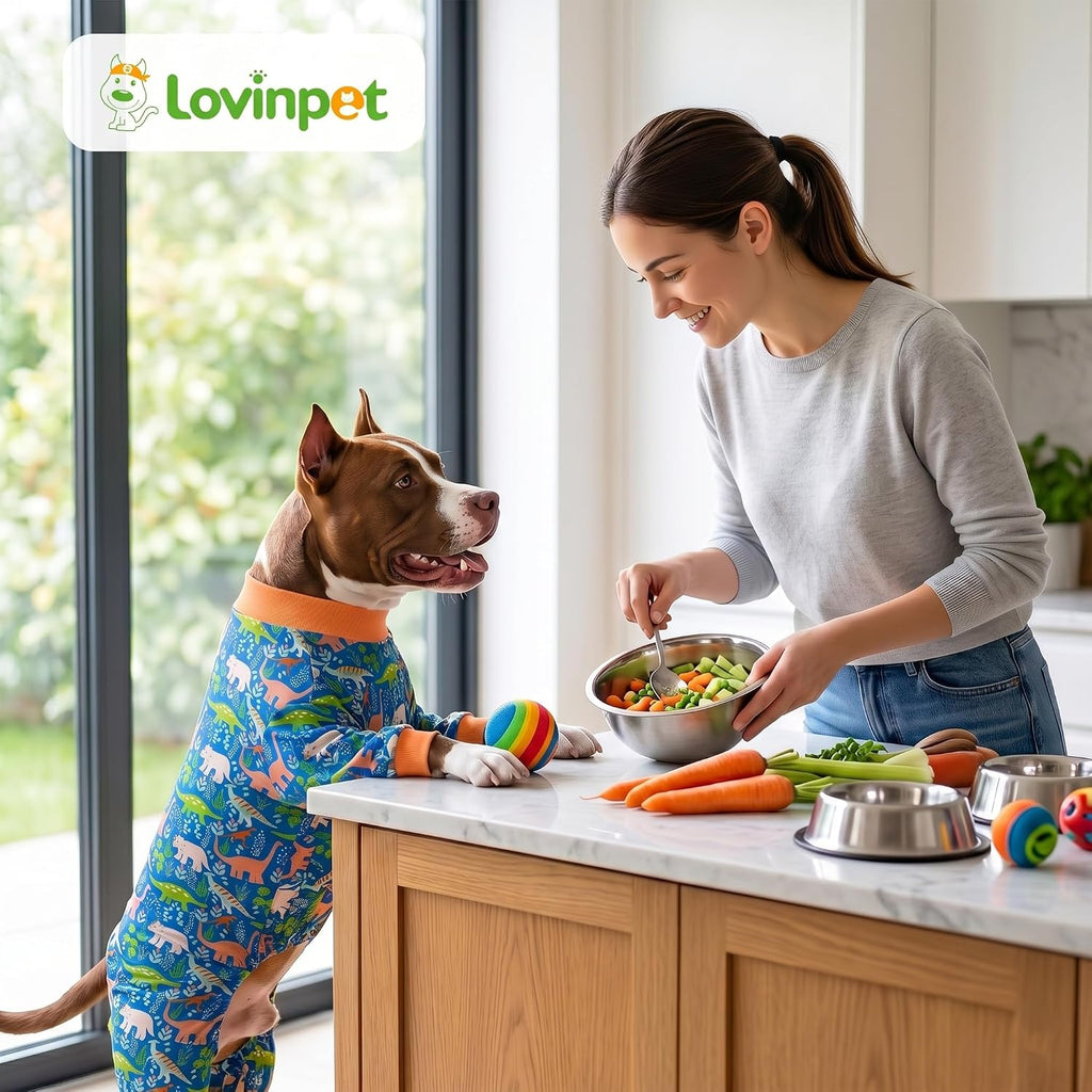 LovinPet full belly recovery suit for large dogs post operation care