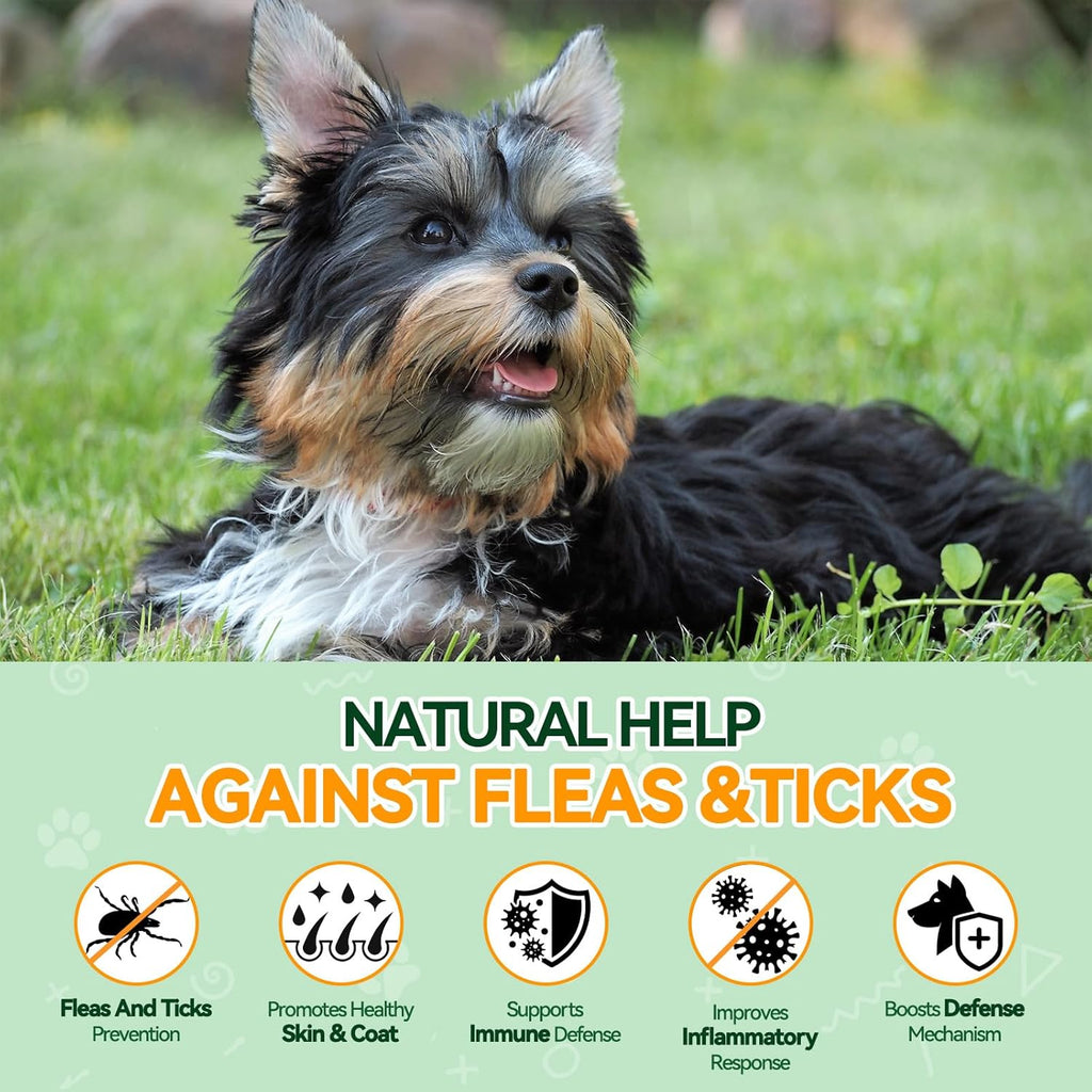 Carmelie natural flea and tick soft chews for dogs showing chicken flavor labeling