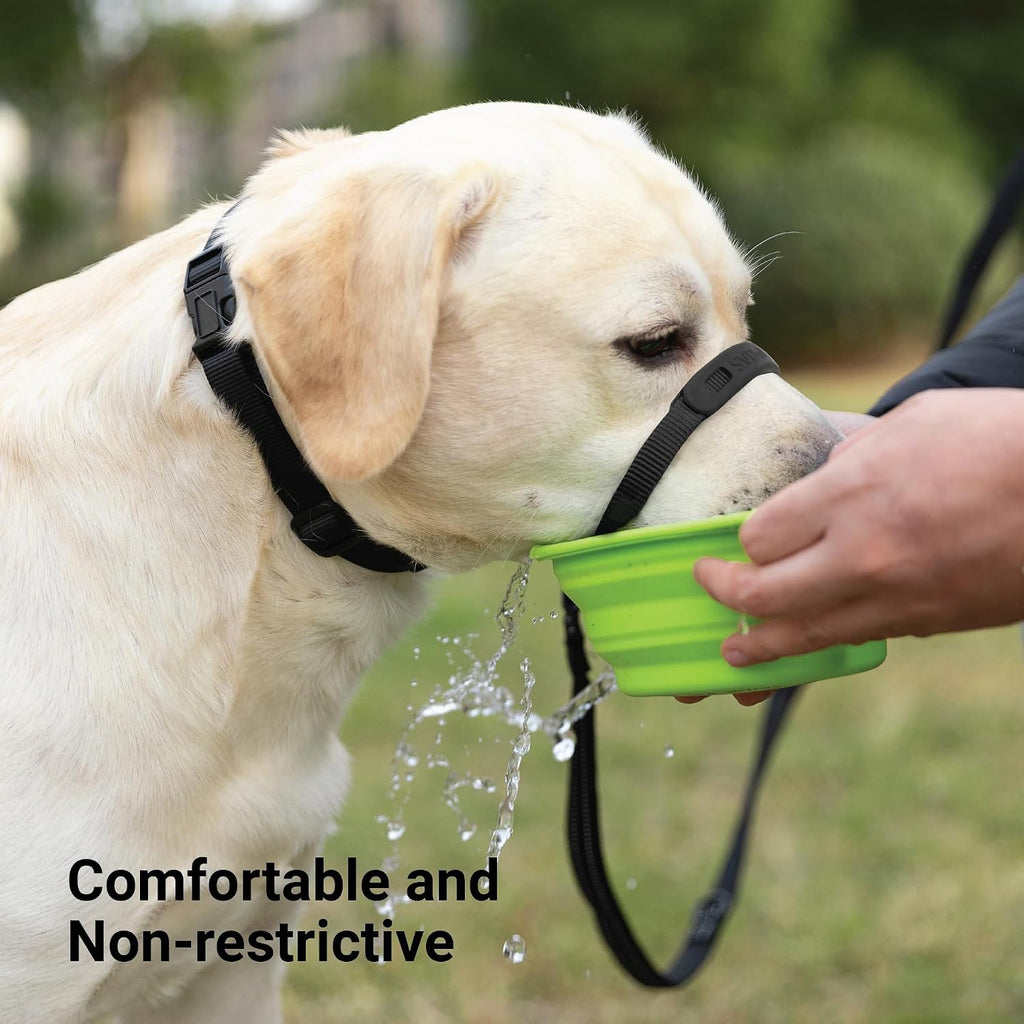 Side profile of SVD.PET dog headcollar on pet