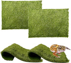 Safe terrarium accessory for turtles and iguanas