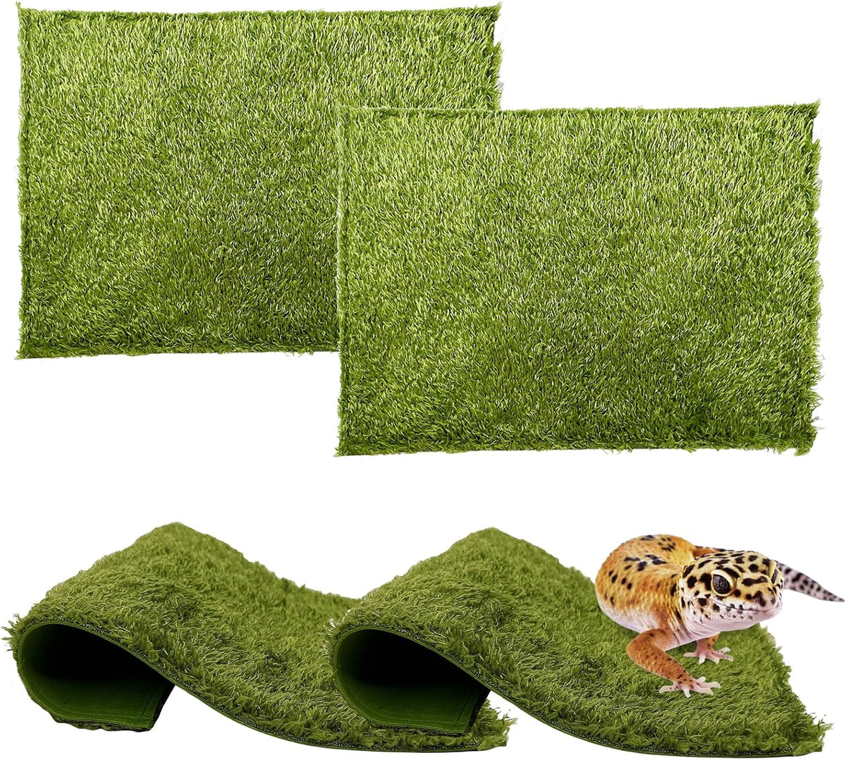 Safe terrarium accessory for turtles and iguanas
