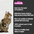 Cat enjoying wild caught salmon freeze dried treats
