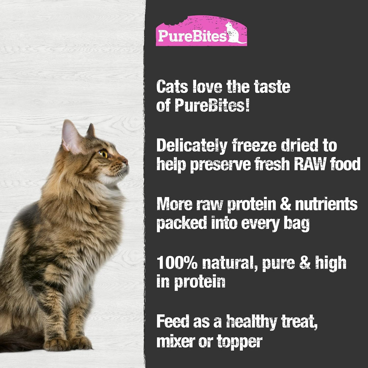 Cat enjoying wild caught salmon freeze dried treats