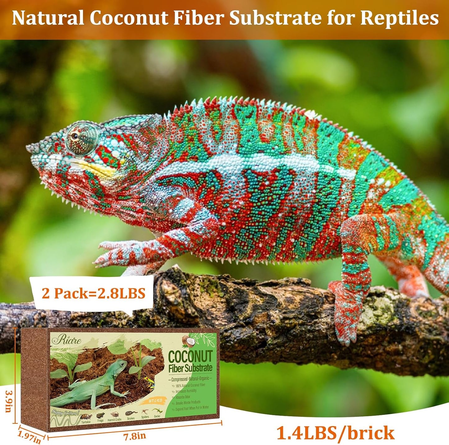 Riare premium coconut husk terrarium bedding pack of two lifestyle view