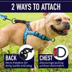 Detail of Leash Boss harness quick release buckle