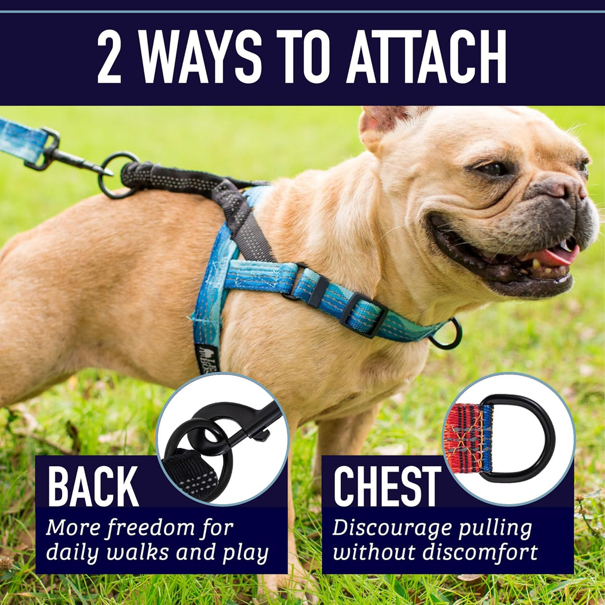 Detail of Leash Boss harness quick release buckle