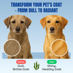 Life Line Pet Nutrition organic kelp powder texture close up