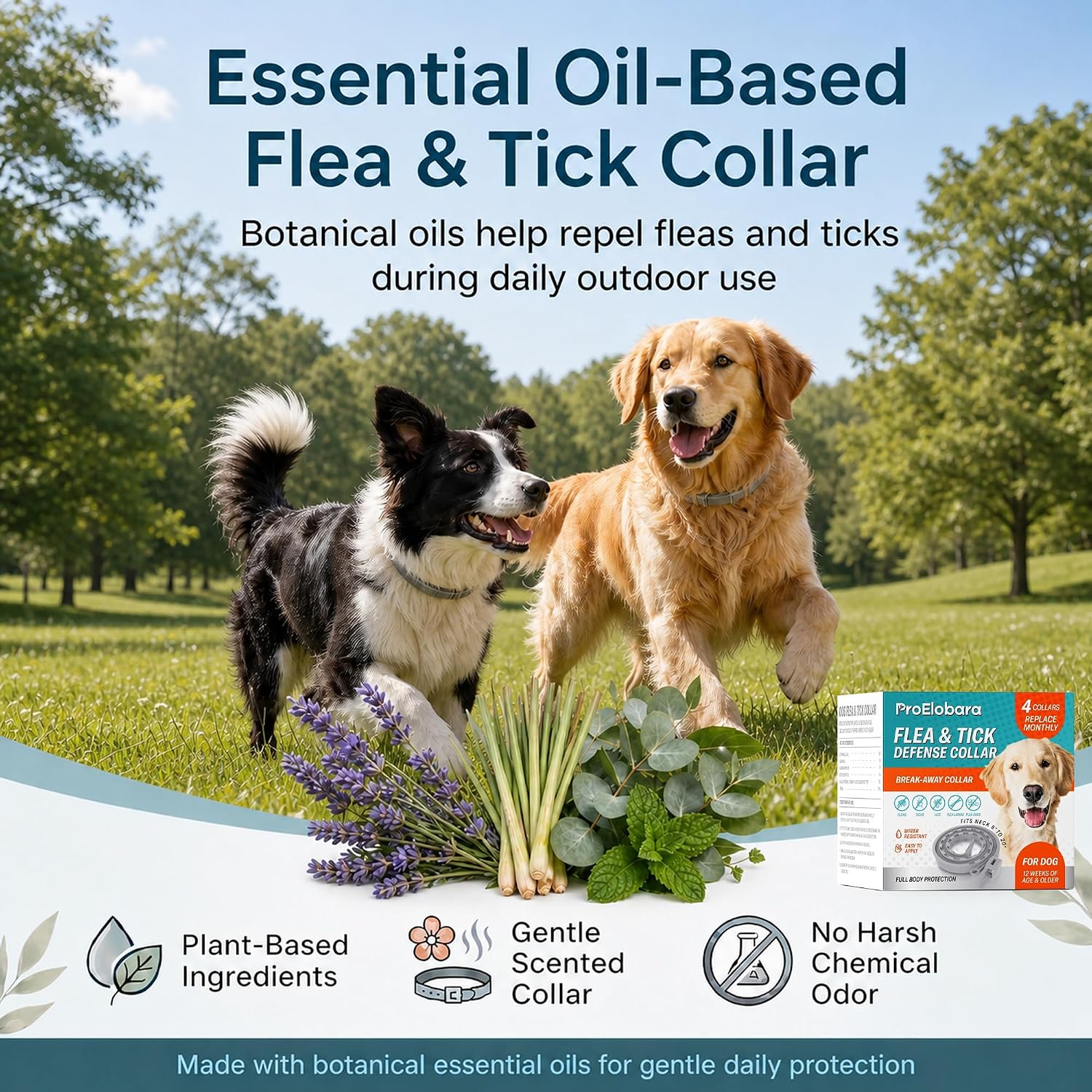 ProElobara natural essential oil dog collar packaging