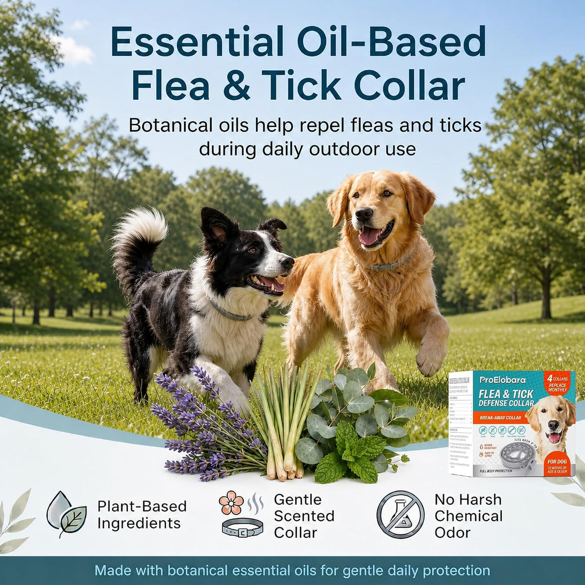 ProElobara natural essential oil dog collar packaging