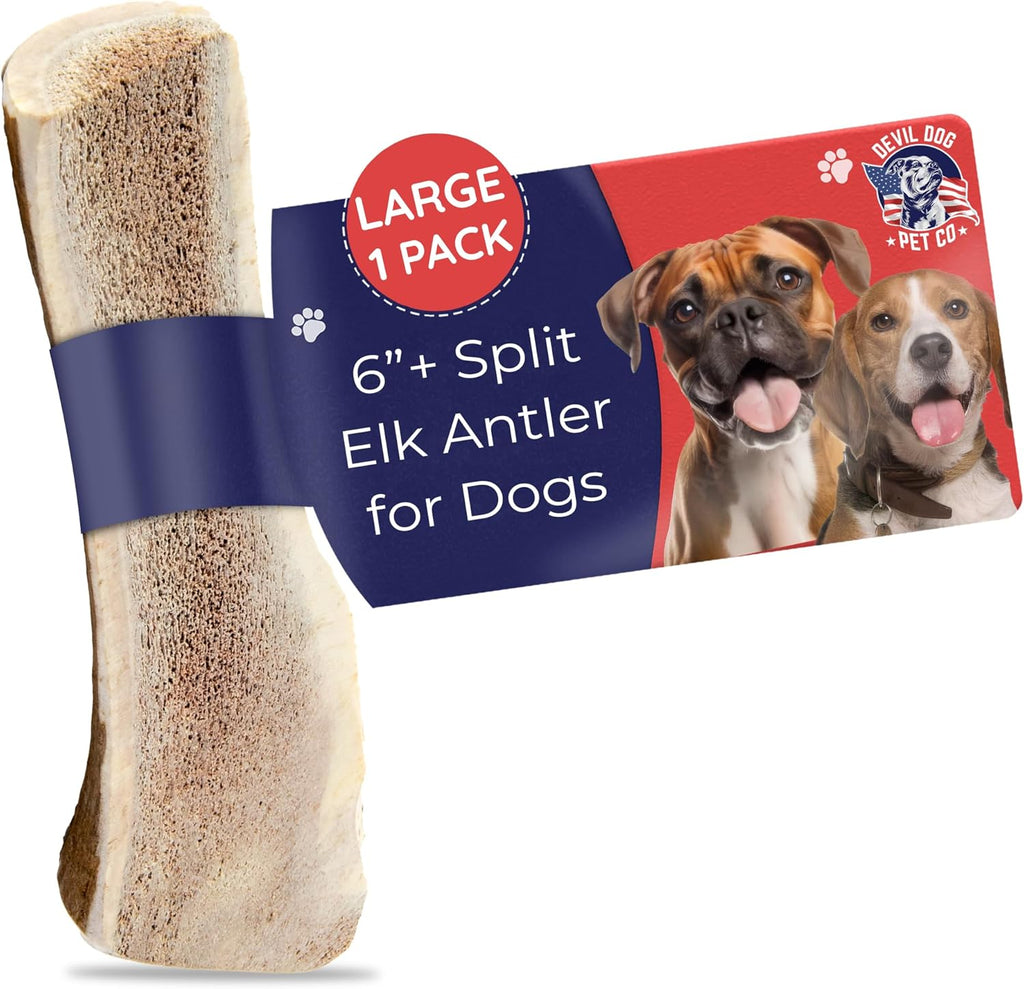 Devil Dog Pet Co. Elk Antlers for Dogs, Natural Dog Chew for Aggressive Chewers - Long Lasting and Odor Free - USA Sourced - Cleaner Teeth, Anxiety & Boredom Relief - Whole Medium 5"+ - Antler Bone - Image 15