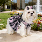 Side profile of the comfortable small breed cat dress harness set