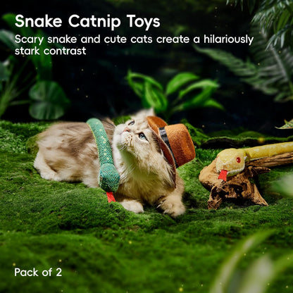 Kitten pouncing on Potaroma crinkly snake toy