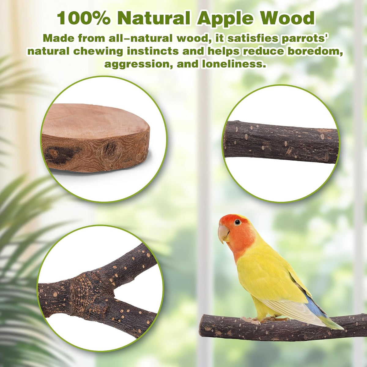 8PCS Bird Perches Set Natural Apple Wood Bird Cage Accessories Wooden Parrot Stand Hardwood Branches for Parakeets, Budgies, Cockatiels Small Bird Habitat Gym, Climbing Stand & Safe Chew Toys - Image 7