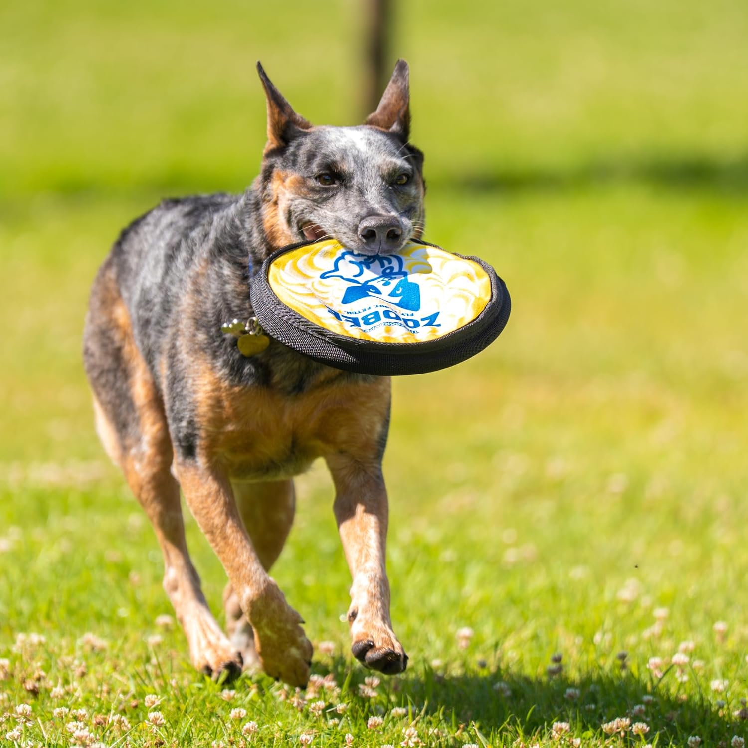 The ZooKeeper ZooBee Flying Disc Dog Toy - Soft & Durable Toss Disc for Indoor & Outdoor Play, Water Fetch & Pool Fun, Floats - Safe on Teeth - Dog Vision Friendly - Lightweight & Easy to Throw, Blue - Image 9
