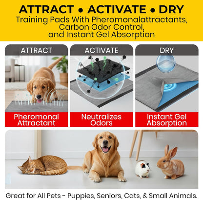 Glad premium USA imported dog training pads packaging side view with instructions