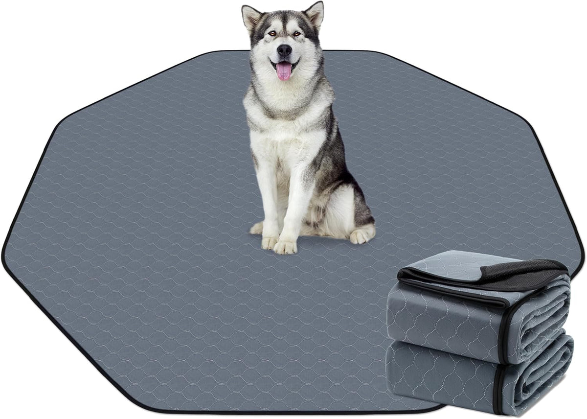 Bunlitent pet care product packaging for authentic USA imports