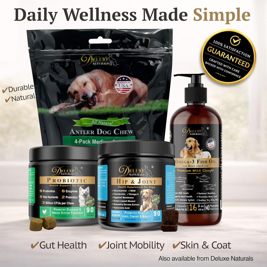 Omega-3 Fish Oil for Dogs & Cats - 2-Pack (16 fl oz Each) High-Potency Wild-Caught Fish Oil with 800 mg EPA + 525 mg DHA per Teaspoon, Supports Skin & Coat and Joint Health Supplement - Image 11