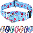 Hikiko imported authentic USA premium non slip pet walking collar