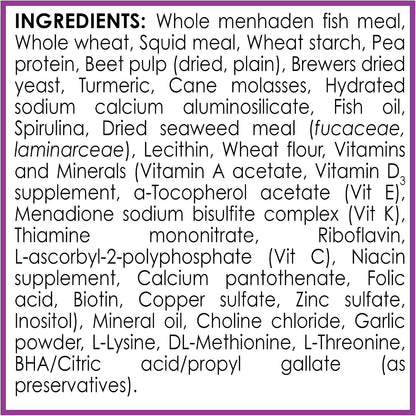 Group of tropical community fish eating API flakes