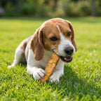 Fieldcrest Farms healthy alternative to rawhide treats