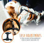 Mighty Paw harness no pull front leash attachment point