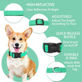 Turquoise Maiiu nylon dog collar with safety buckle