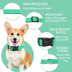 Turquoise Maiiu nylon dog collar with safety buckle