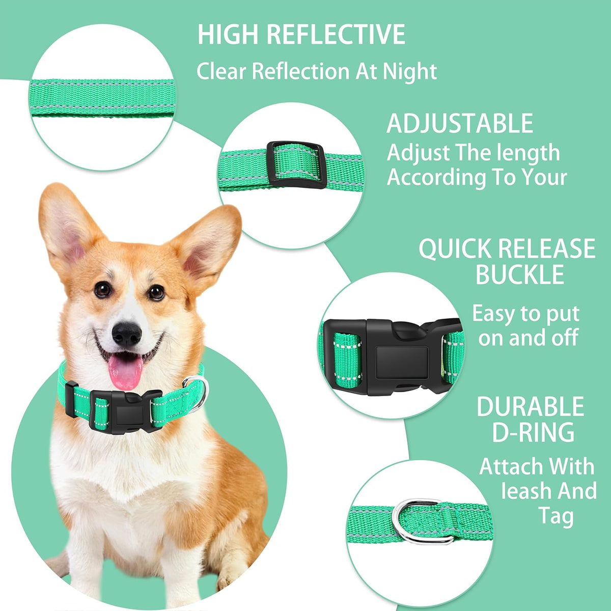 Turquoise Maiiu nylon dog collar with safety buckle
