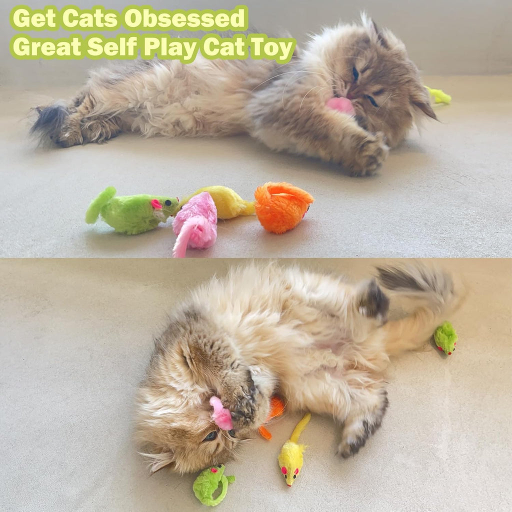 Assorted six color pack of interactive pet fetch toys for healthy exercise