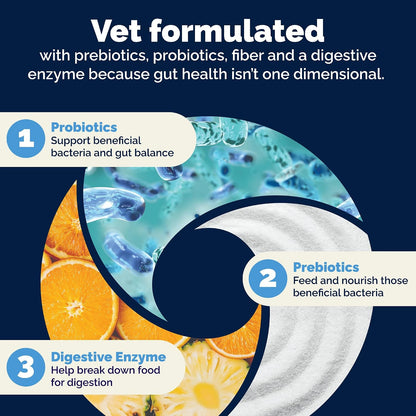 Vet formulated five strain probiotic soft chews for puppy and adult dog gut health