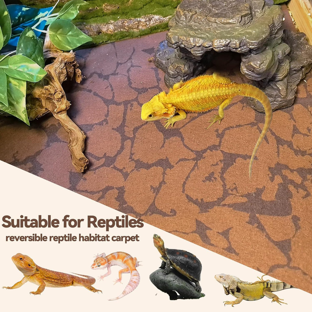 Bearded dragon terrarium enclosure setup with reusable fiber mat liner