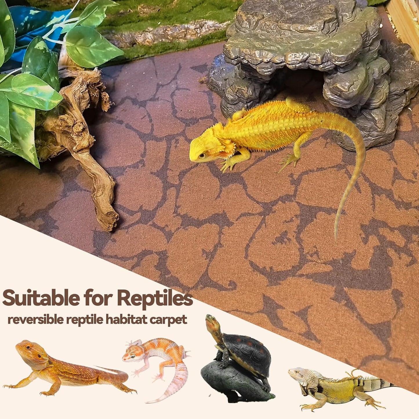 Bearded dragon terrarium enclosure setup with reusable fiber mat liner