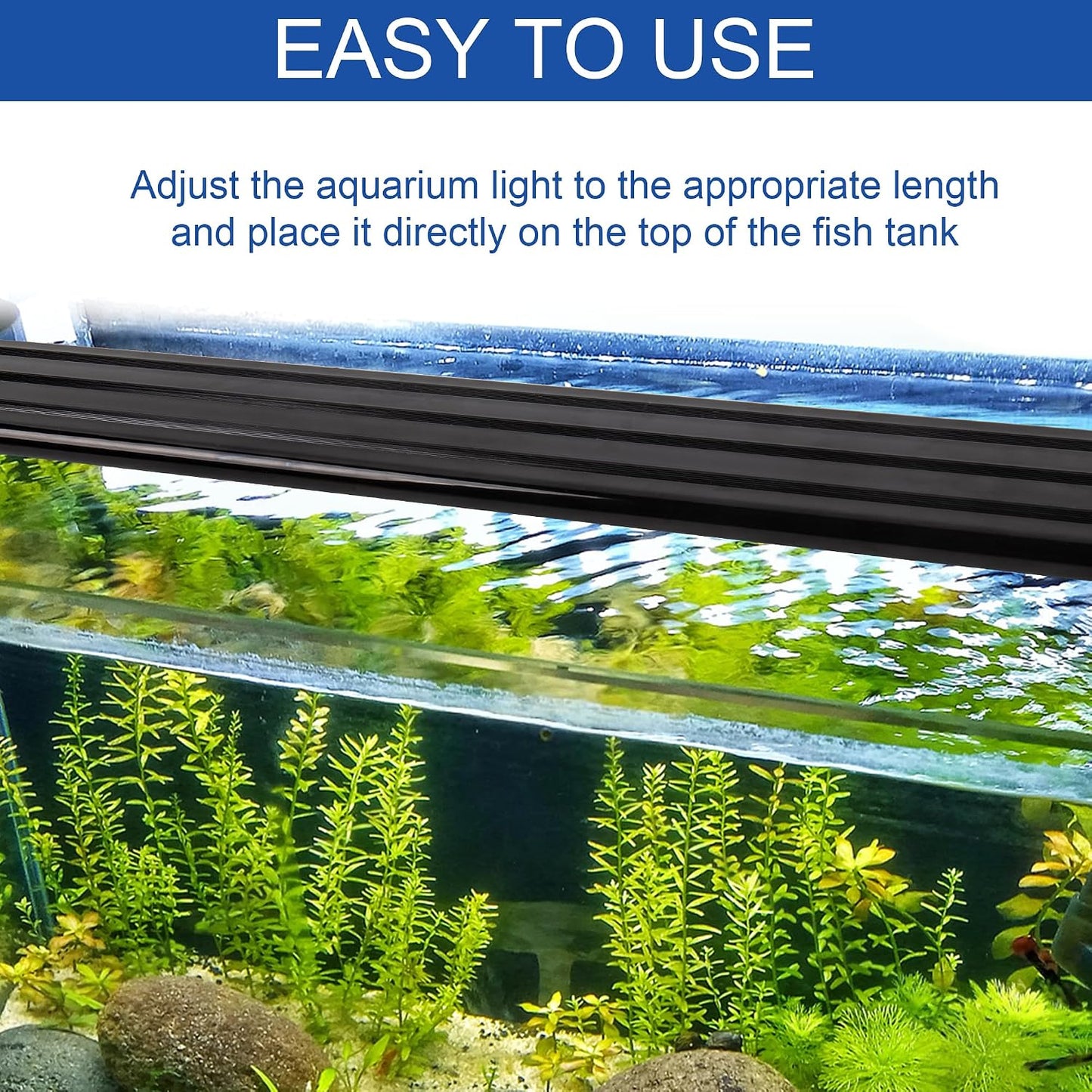 Inline controller module for setting sunrise sunset modes on the IRQWY aquatic light.