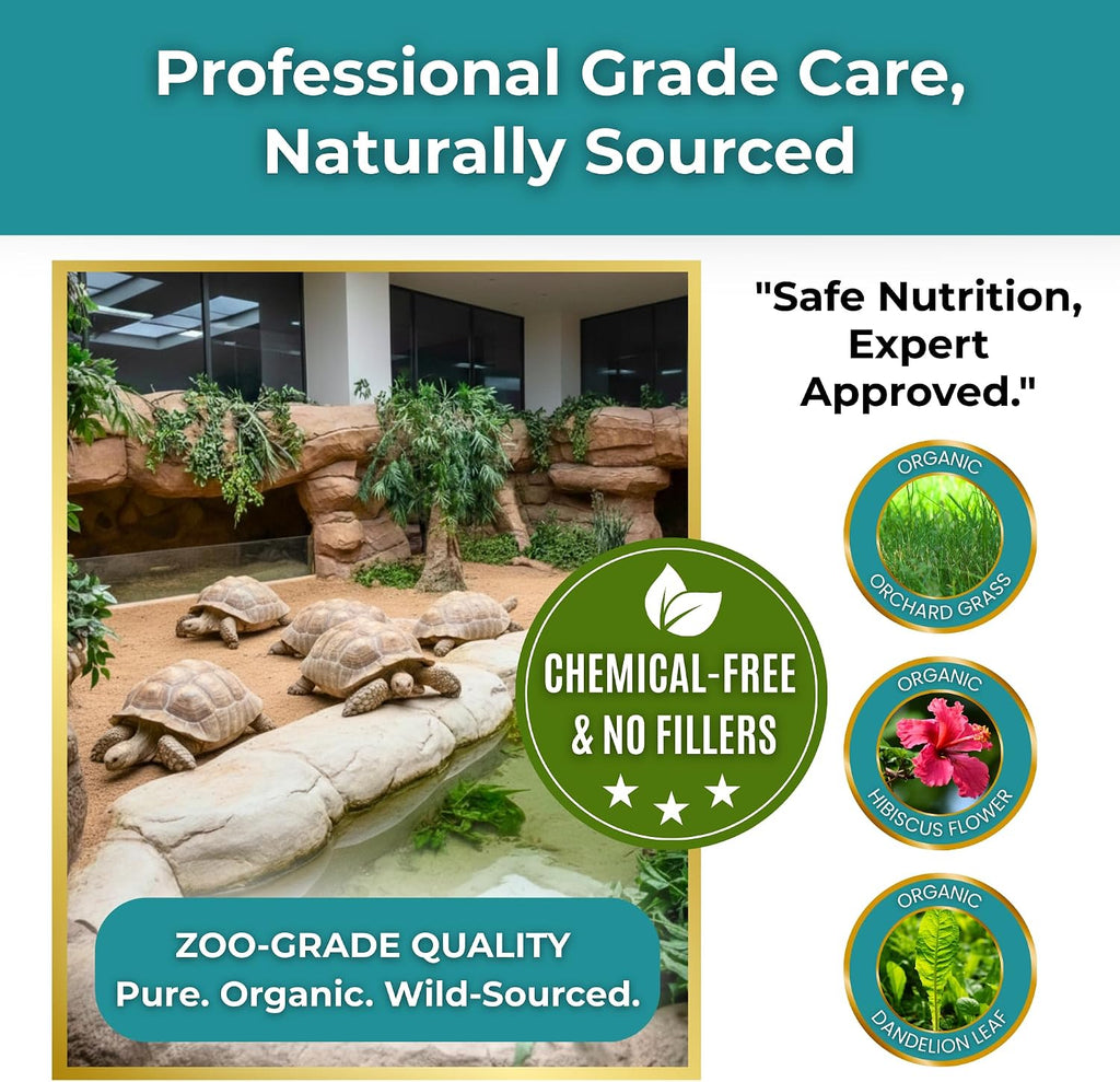 Tortoise Resource Center organic calcium powder container close up
