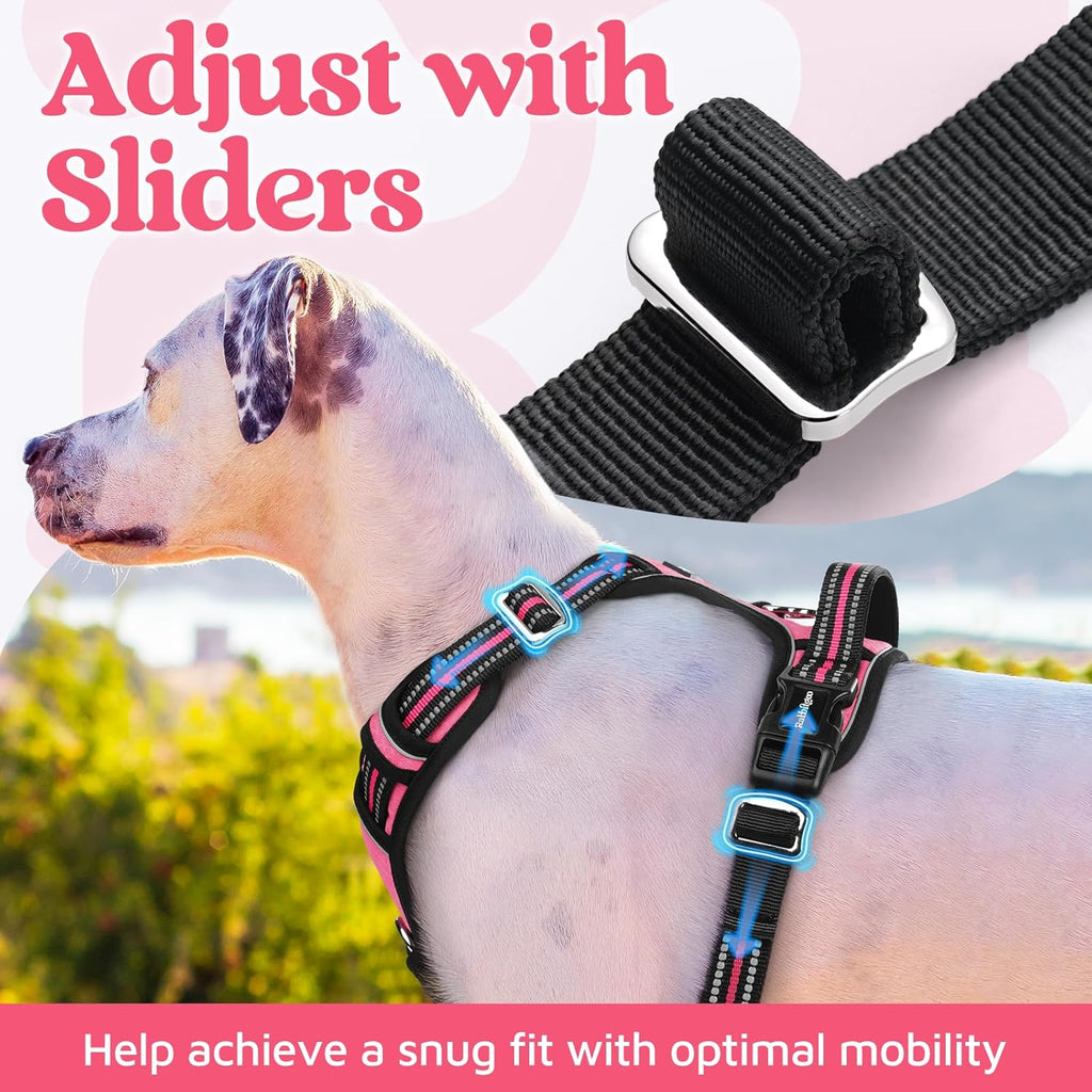 Top view showing the wide ergonomic control handle on the pet harness