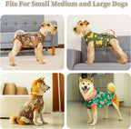 Anxiety reducing full body dog recovery suit protecting abdominal stitches and bandages