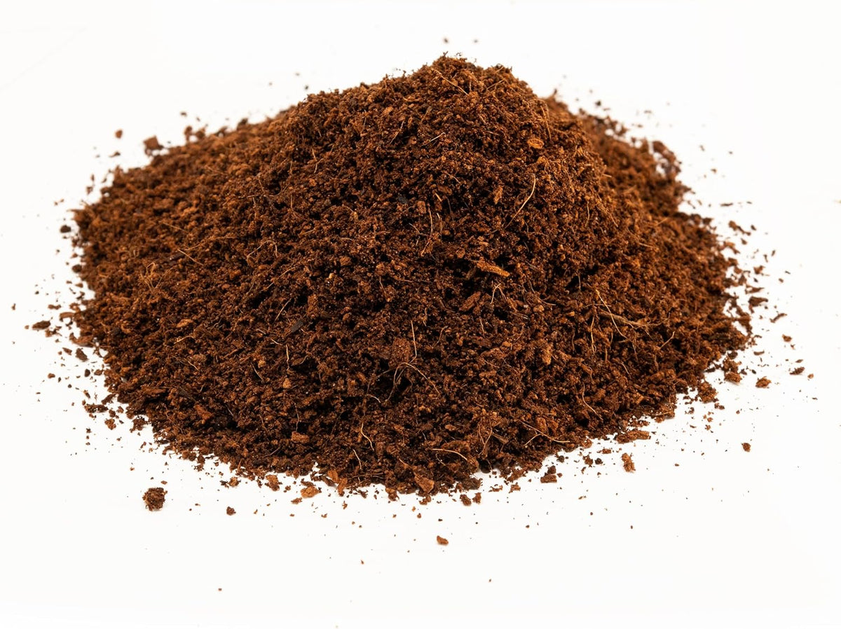 Close up view of natural coconut husk texture for reptile bedding