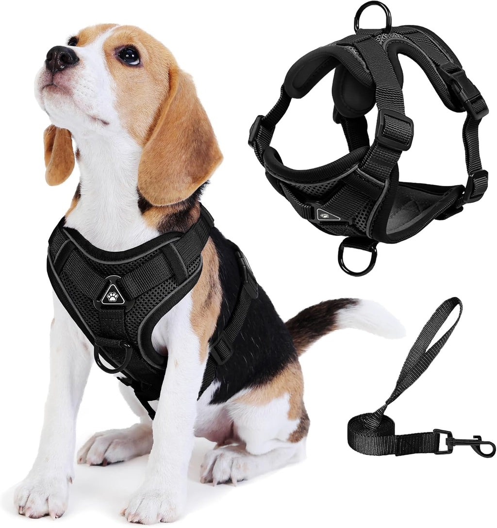 No Pull Dog Harness with Leash Set for Small Sized Dog, Reflective Adjustable No Choke Front Clip Cat Vest Harness with Breathable Mesh, Comfortable Soft Padded Pet Vest, Blue S - Image 9