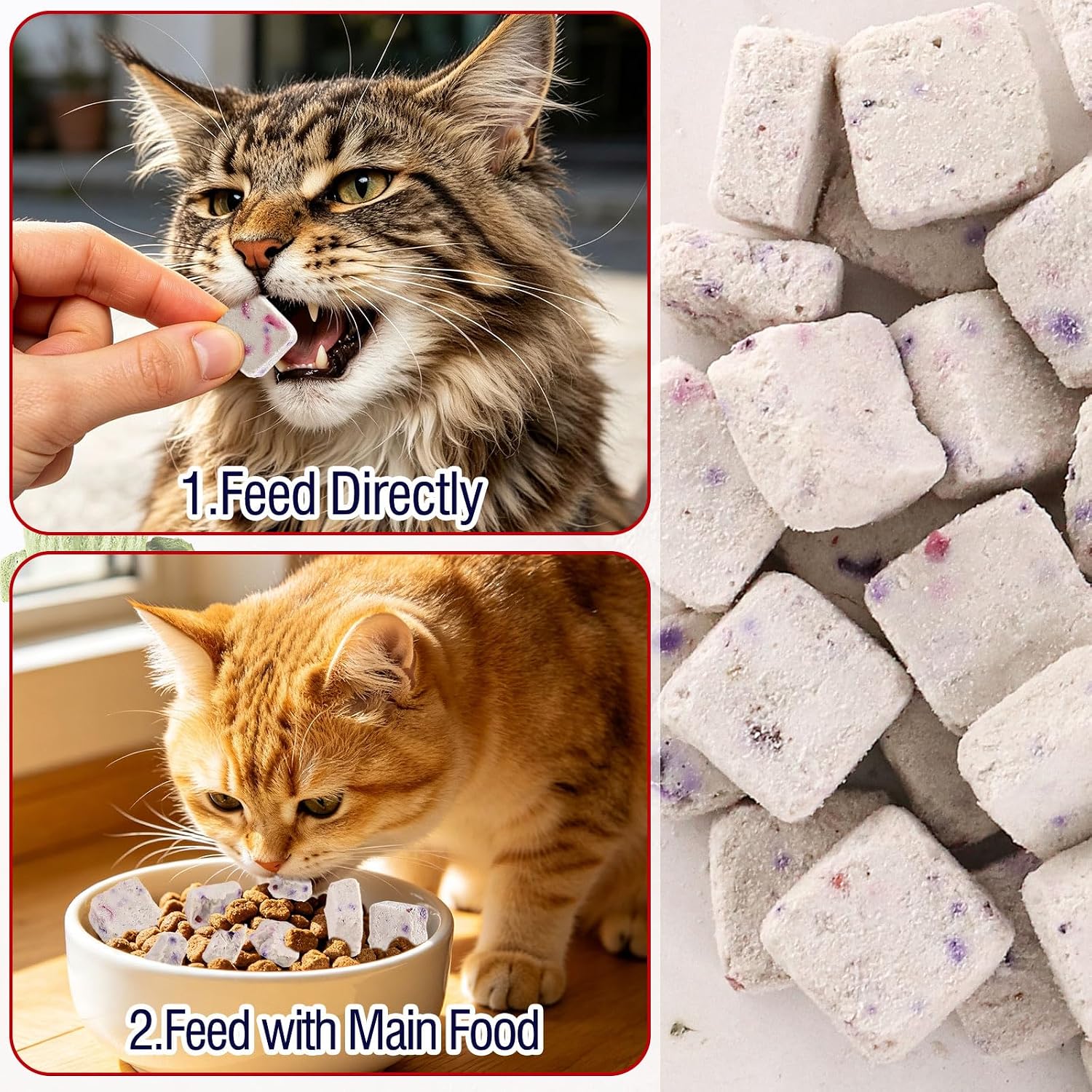 Cat and dog eating Havenfly yogurt snacks for digestive wellness