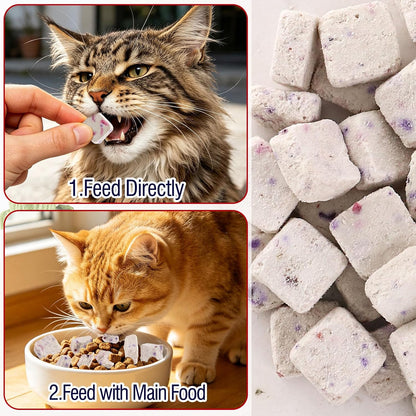Cat and dog eating Havenfly yogurt snacks for digestive wellness