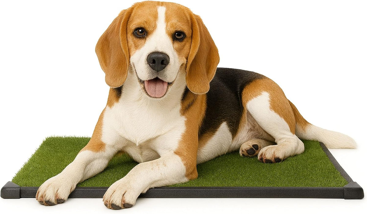 Petmaker dog potty trainer three-layer system parts