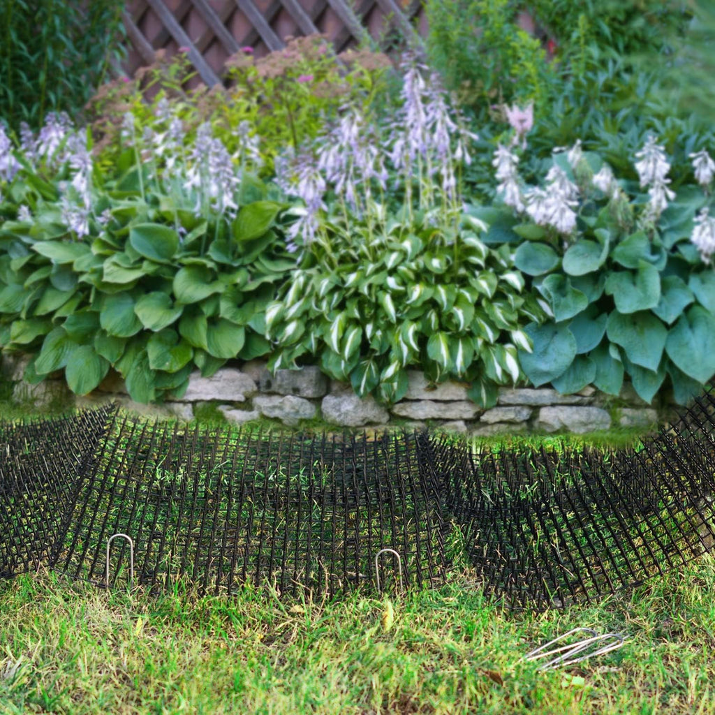 Close up of Pomeat plastic spikes on deterrent mat