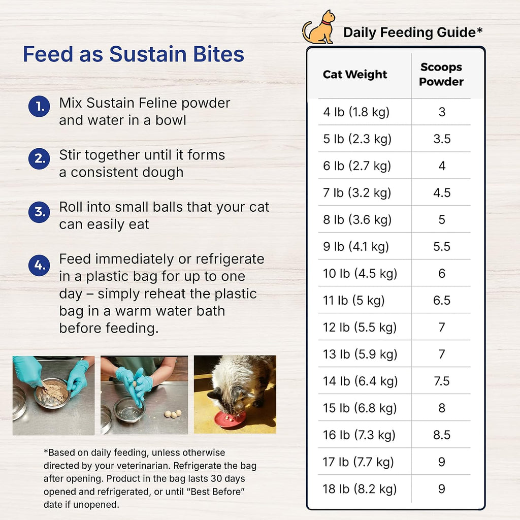 EMERAID Sustain Feline Recovery Food for Cats 100 g - Image 9