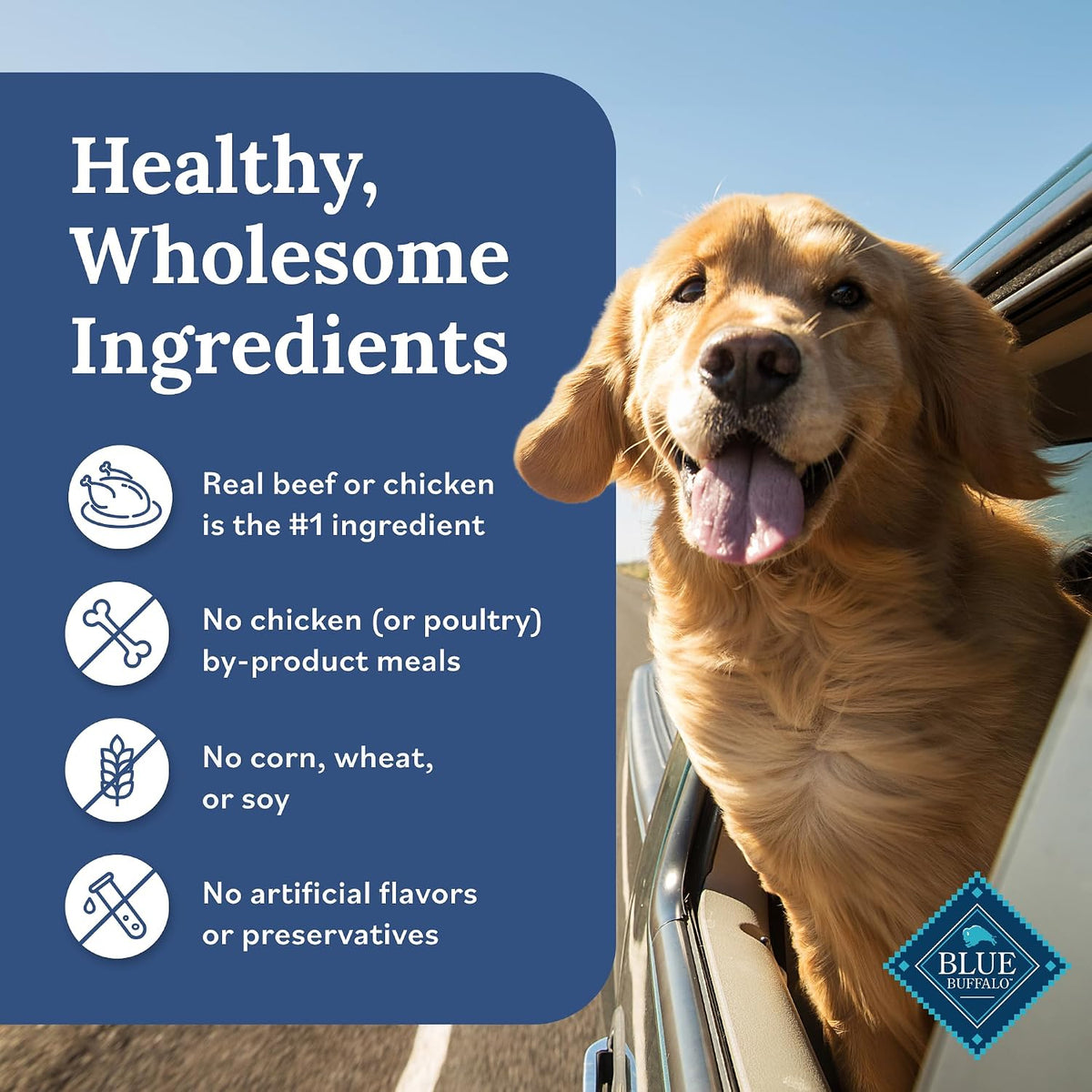 Natural wet dog food topper in a bowl