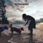 NOVKIN LED Dog Collar, Cut-to-Fit Light Up Dog Collar for Night Walking, IP67 Waterproof USB Rechargeable Glowing Pet Collar, High Visibility Super Bright Safety Lights for S/M/L Dogs(Blue) - Image 4